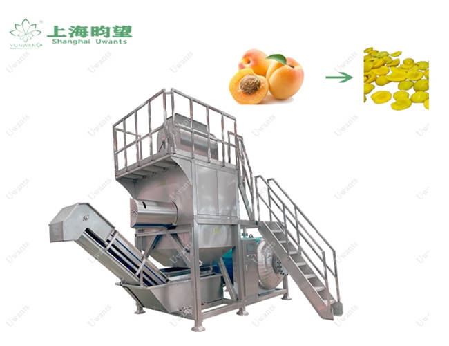 黃桃蒸汽去皮機(jī)